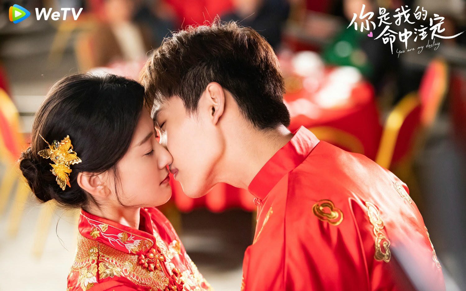 5部翻拍劇慘變「翻車劇」，邢昭林竟演了兩部！網友痛罵：十翻九渣毀經典！