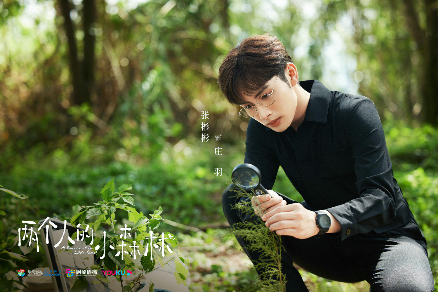 2022陸劇》兩個人的小森林｜張彬彬、虞書欣主演電視劇介紹、第一集開播時間、劇情預告片花絮