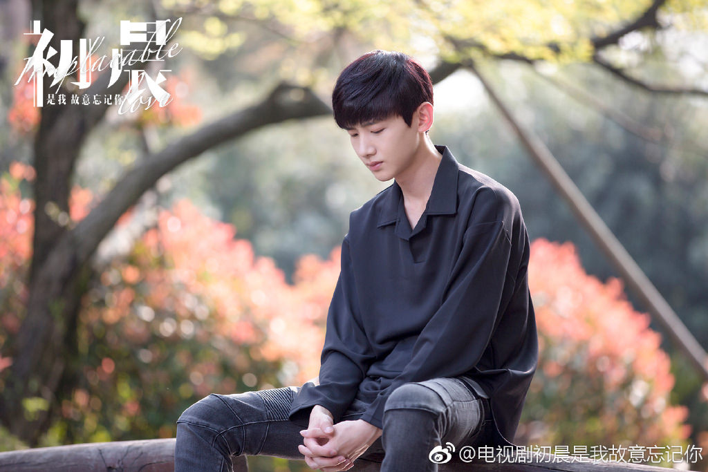 初晨是我故意忘記你-白敬亭