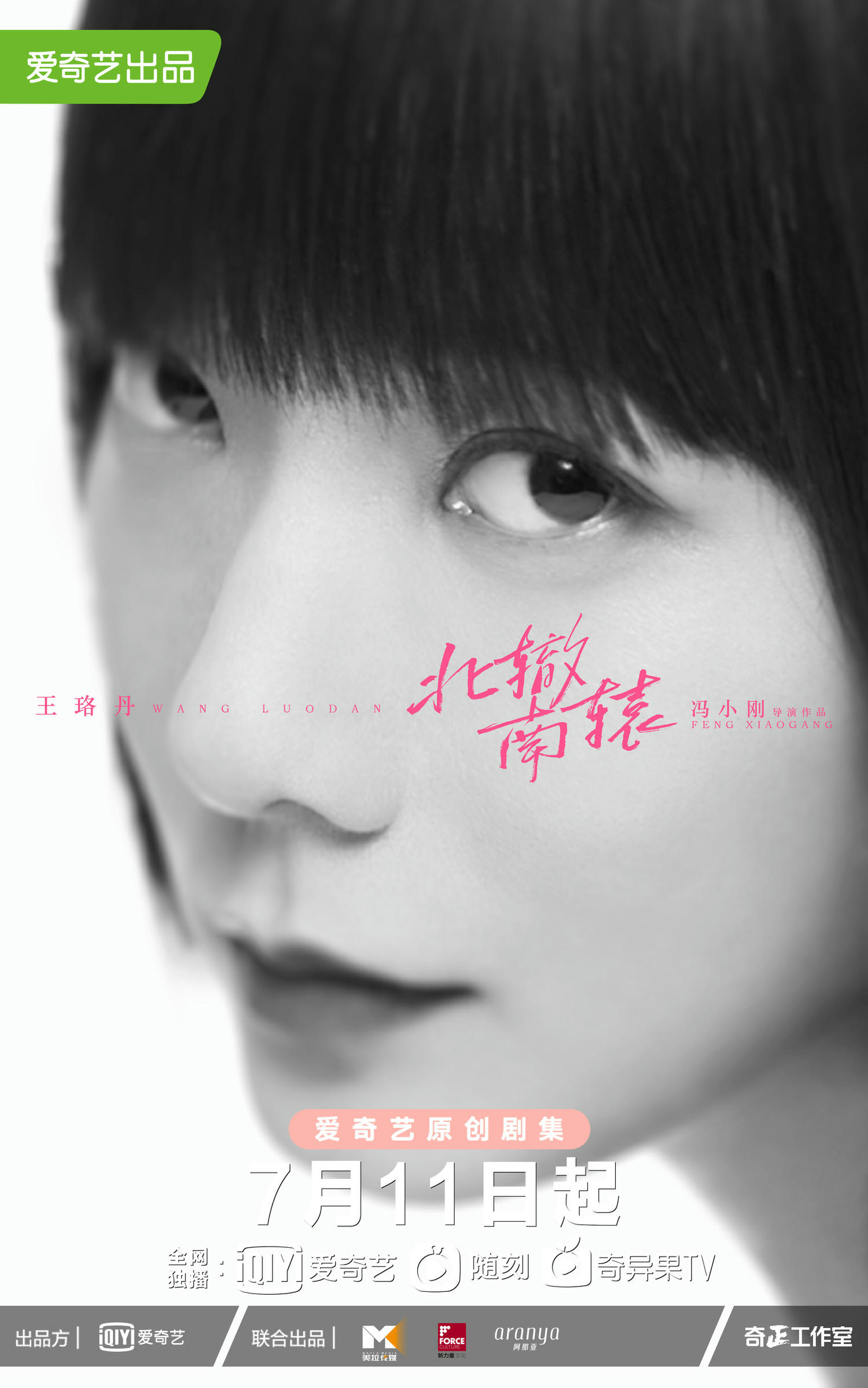 2021陸劇》北轍南轅｜藍盈瑩、金晨主演電視劇介紹、第一集開播時間、劇情預告片花絮