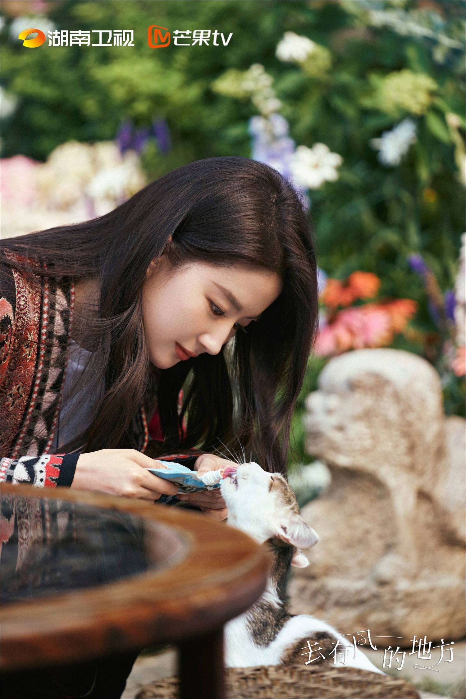 2023陸劇》去有風的地方｜劉亦菲、李現主演電視劇介紹、第一集開播時間、劇情預告片花絮