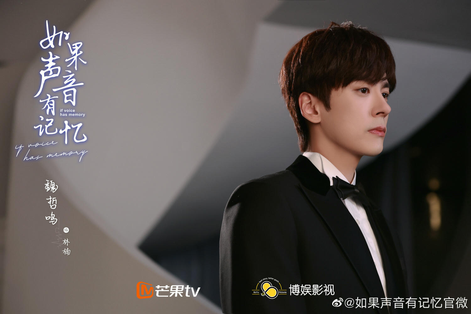 2021陸劇》如果聲音有記憶｜魏哲鳴、潘美燁主演電視劇介紹、第一集開播時間、劇情預告片花絮
