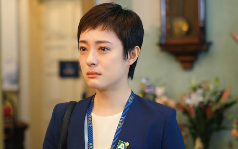 2020上半年熱門爆量的8部劇!熱巴.孫儷.宋茜這些劇贏了播放量,豆瓣評分卻這麼低?! - 第22張圖 安家