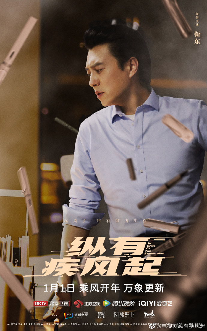 縱有疾風起-靳東