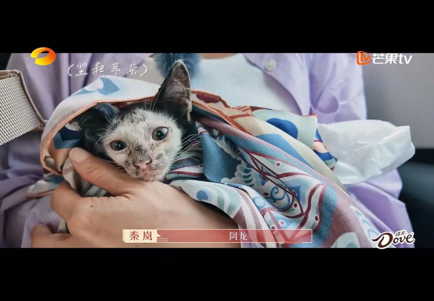 【取景地】《花兒與少年5》沙烏地阿拉伯行程盤點！埃爾奧拉古城氣派，必玩峽谷翱翔！