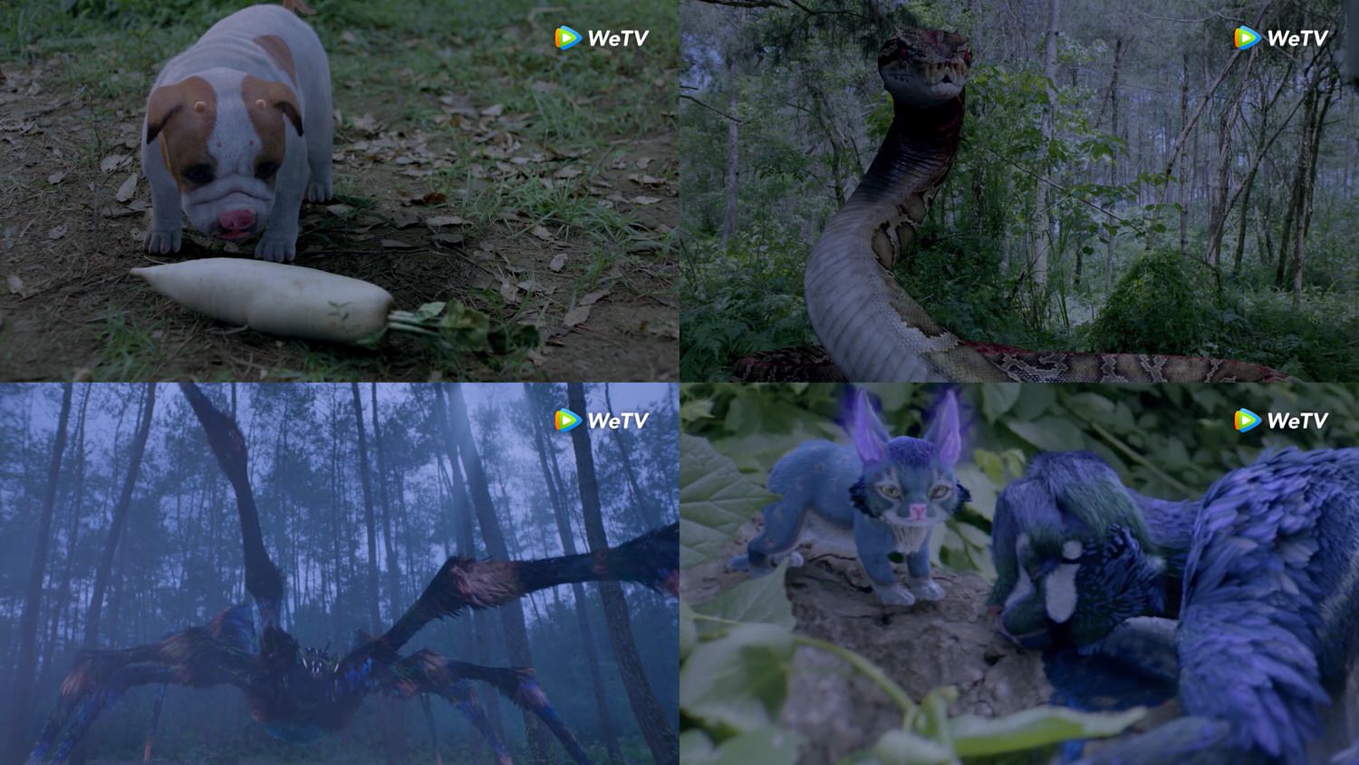 《鬥羅大陸》豆瓣評分新開6.4!引50萬大軍掀「粉黑大戰」,五星與一星評價分庭抗衡的關鍵因素是他! - 第3張圖 《鬥羅大陸》豆瓣評分新開6.4!引50萬大軍掀「粉黑大戰」,五星與一星評價分庭抗衡的關鍵因素是他!