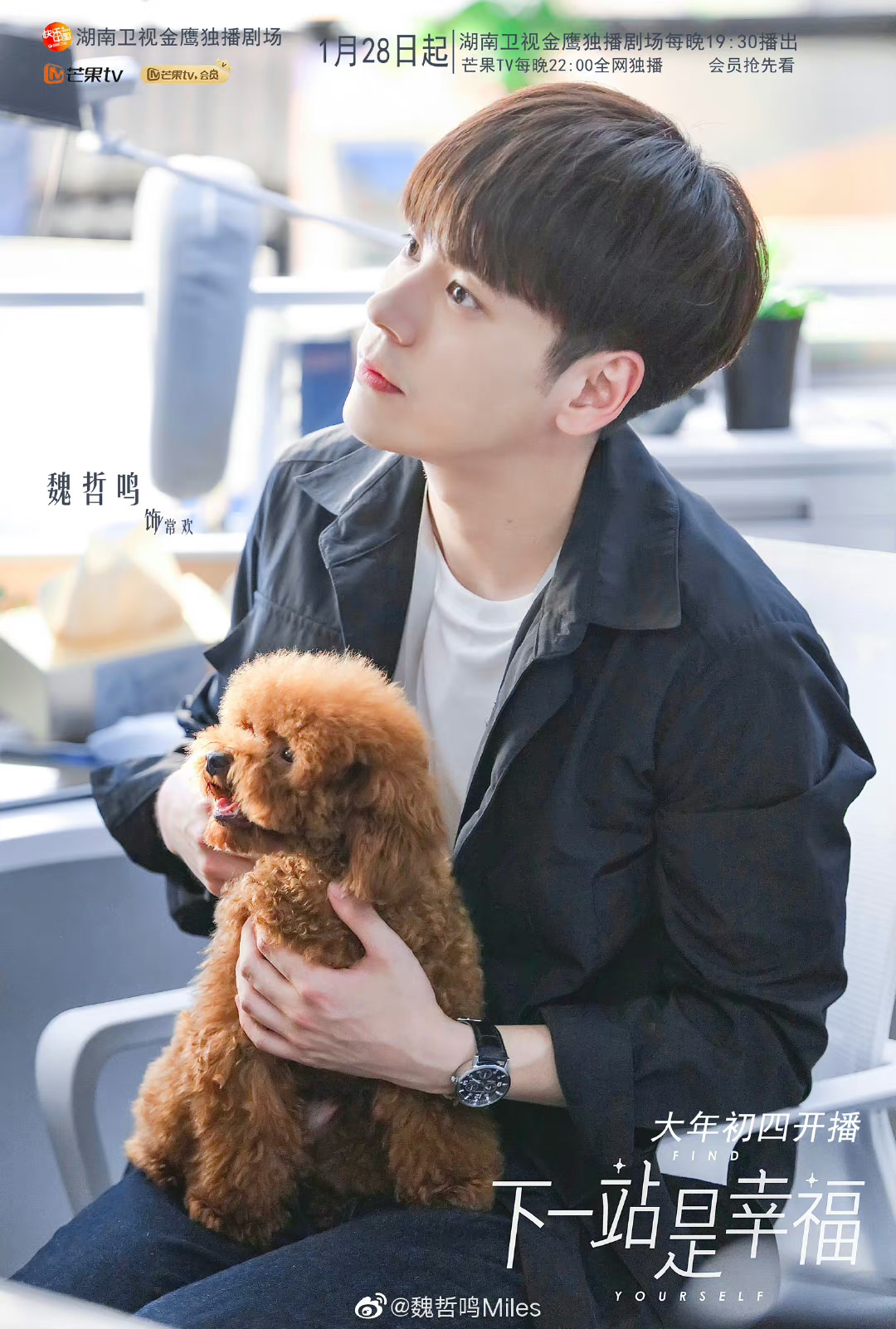 10部魏哲鳴必看戲劇,《對你不止是喜歡》成霸總專業戶!《以愛為營》、《我要逆風去》聲量直逼男主! - 第3張圖 10部魏哲鳴必看戲劇,《對你不止是喜歡》成霸總專業戶!《以愛為營》、《我要逆風去》聲量直逼男主!